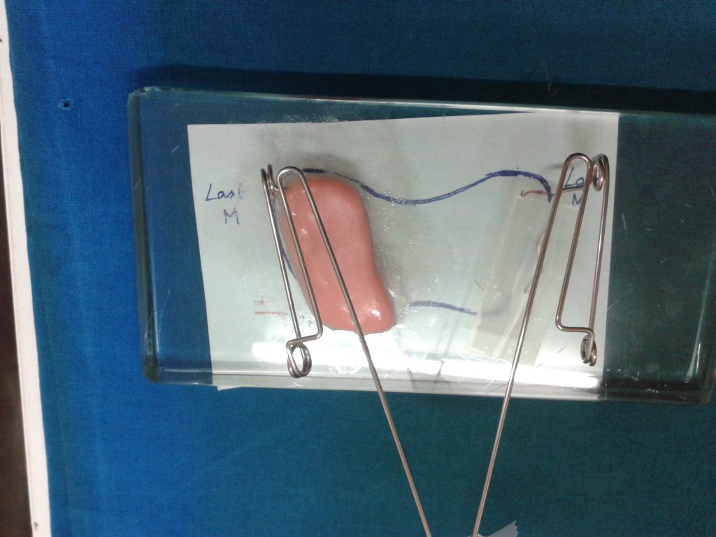 Image of first carousel